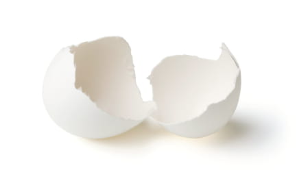 An empty, broken eggshell isolated on white with clipping path.
