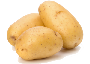 potato_png2391