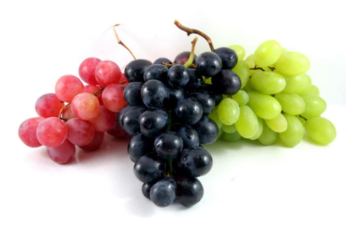 Health Benefits of Grapes