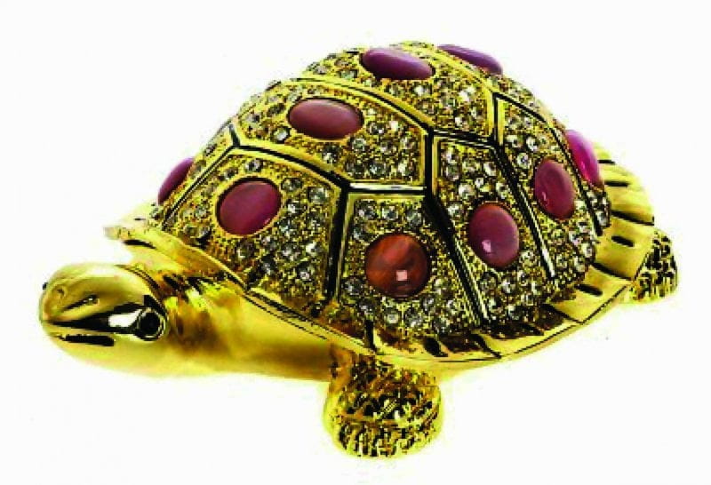 9062258-golden-tortoise