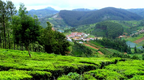ooty-hill-station1