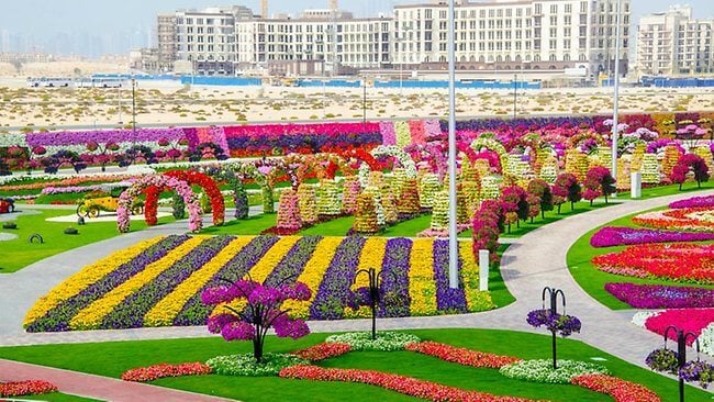 dubai-miracle-garden