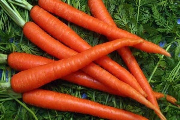 Benefits Of Carrots