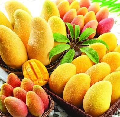 Benefits Of Mango
