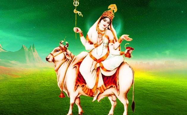 Navratri Devi Maa Mahagauri Puja