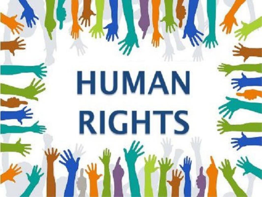 Career Option In Human Rights