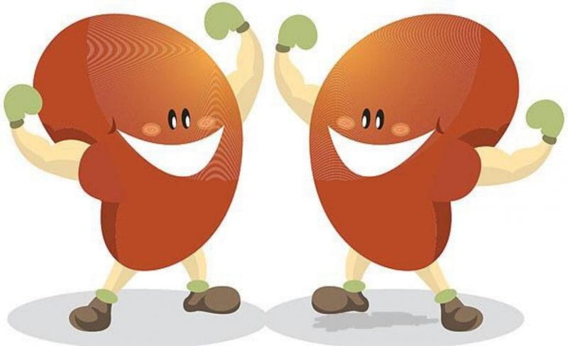 Habits Which Are Harmful For Your Kidney