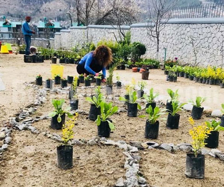 kangna Ranaut, 31 plants, on her 31st Birthday