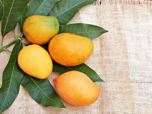 Benefits Of Mango For Health