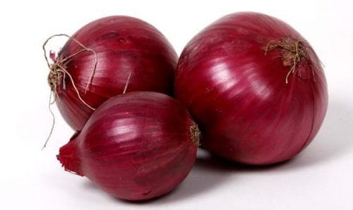 Benefits Of Onion