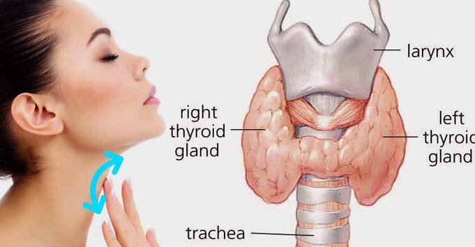 Symptoms Of Thyroid