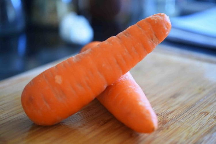 carrot