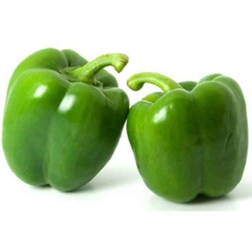 capsicum