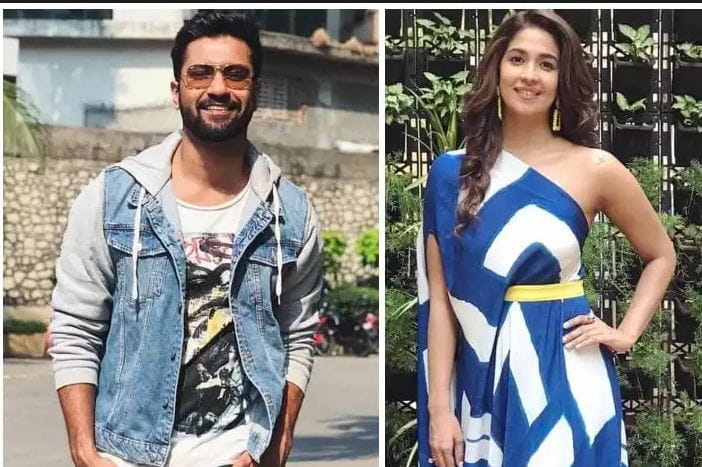 Vicky Kaushal Breakup With Harleen Sethi