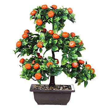 Orange Plant Showpiece