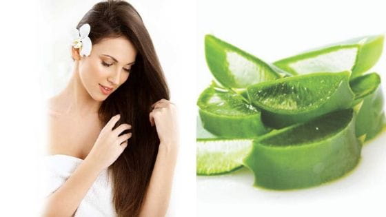 Beauty Benefits Of Aloe Vera