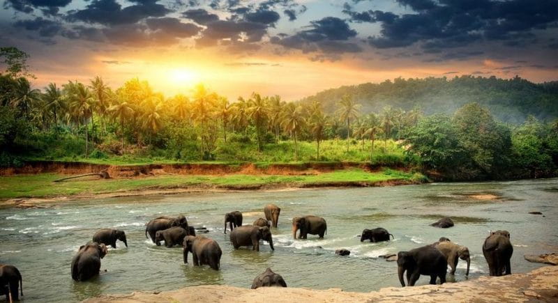 Sri Lanka Tourism