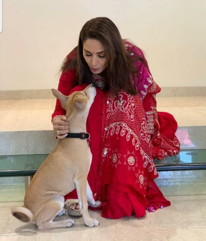 Madhuri Dixit with her pet