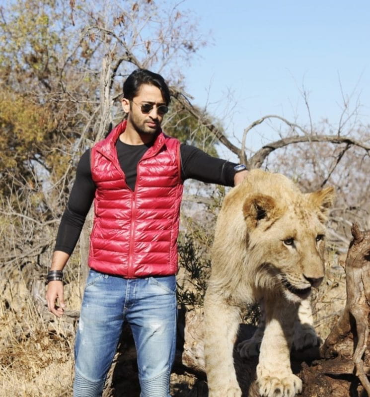 Shaheer Sheikh