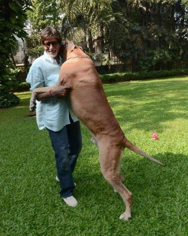 Amitabh Bachchan