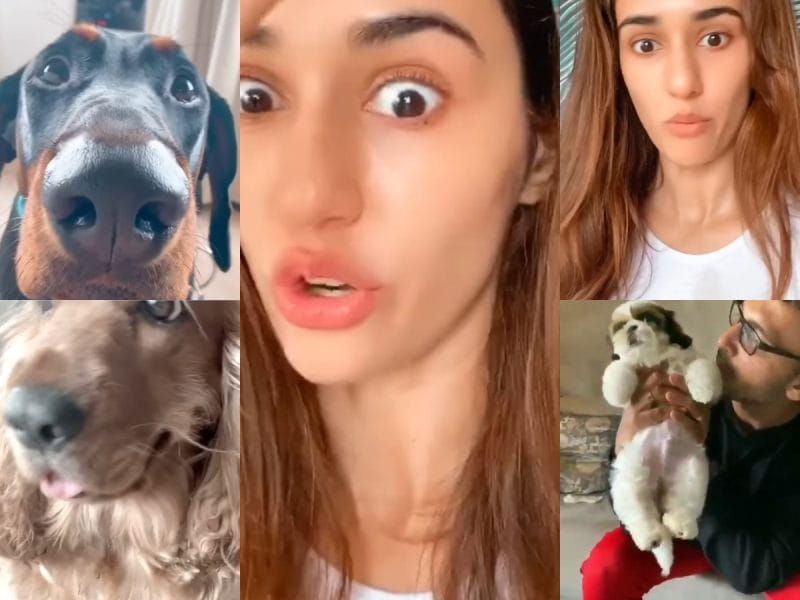 Disha Patani Raps