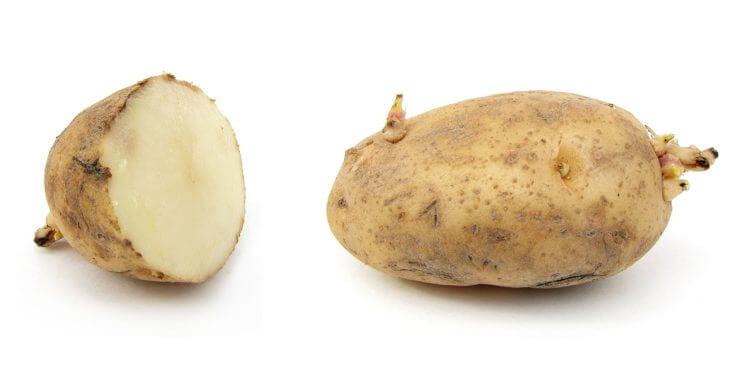 Potatoes