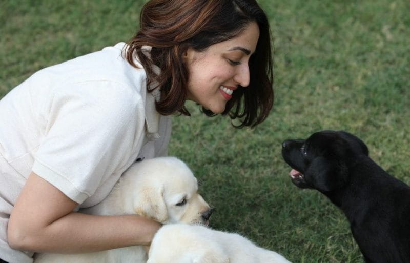 Yami Gautam