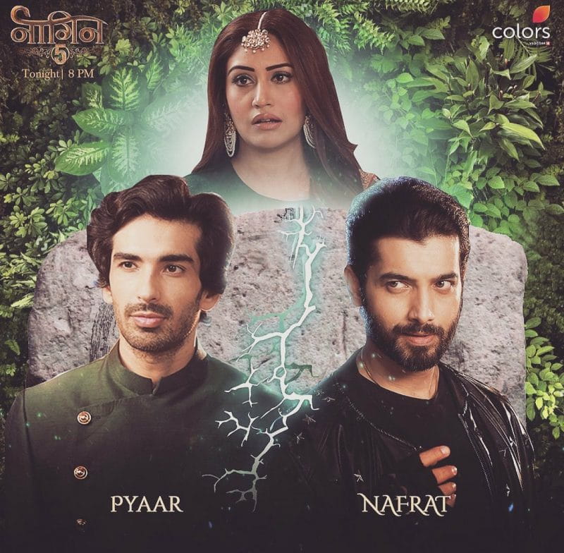 naagin -5
