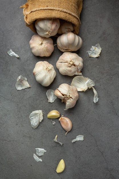 Garlic