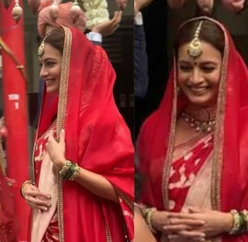 Dia Mirza Wedding Photo