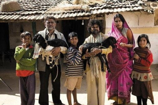 Peepli Live