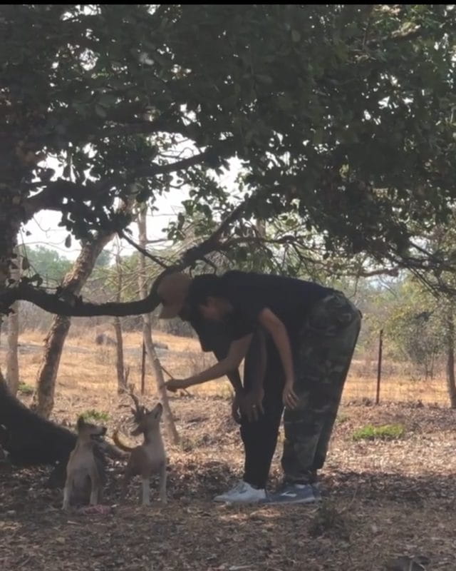 Anushka Sharma and Virat Kohli