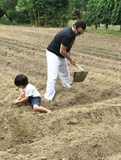 Taimur With Saif Ali Khan