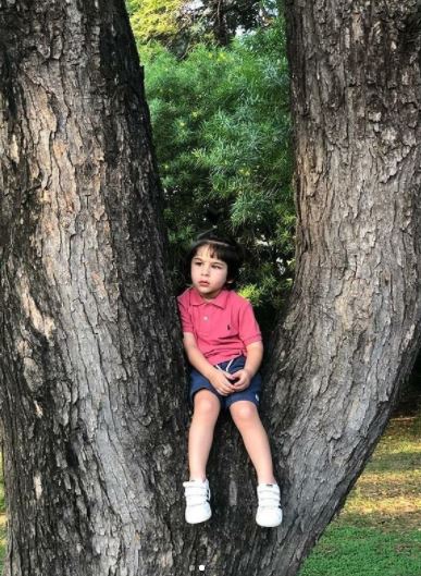 Taimur