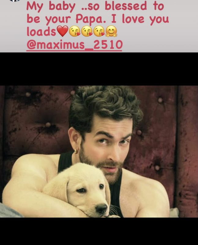 Neil Nitin Mukesh 