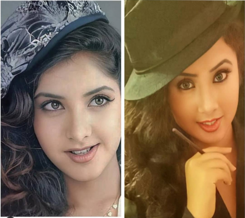 Divya Bharti's Lookalike