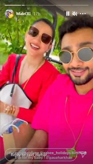 Gauahar Khan and Zaid Darbar