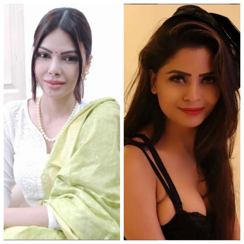 Gehna Vashistha and Sherlyn Chopra