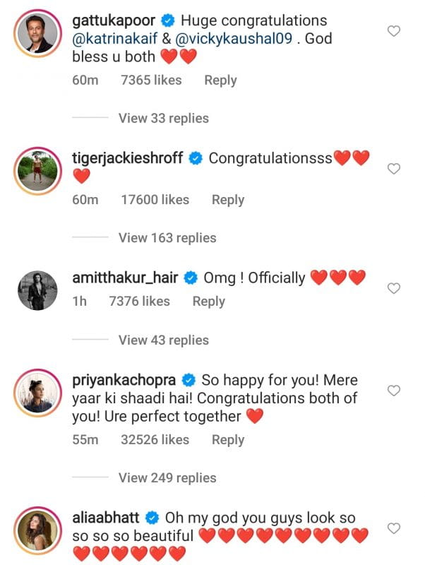 Vicky Kaushal And Katrina Kaif