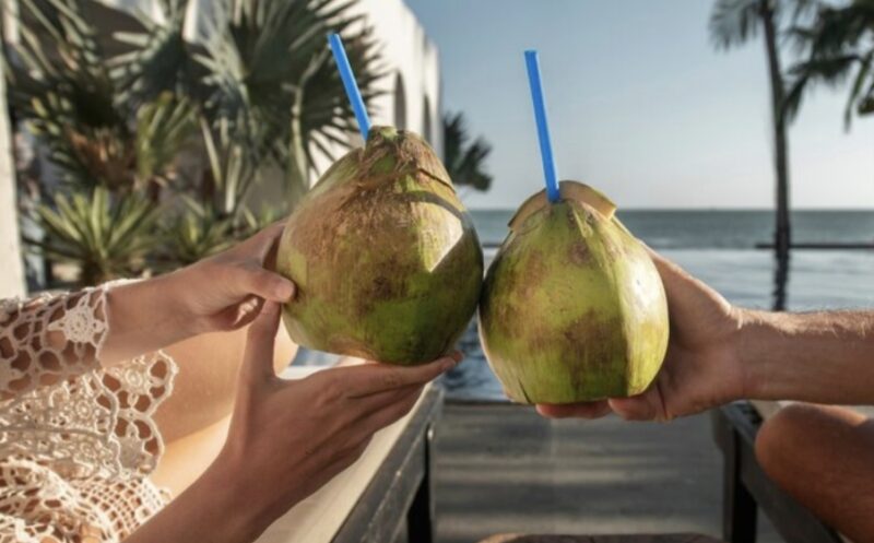 बहुपयोगी नारियल