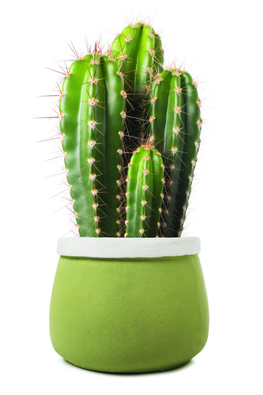 वास्तु दोष