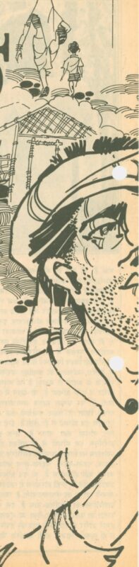 कहानी- अबाबील