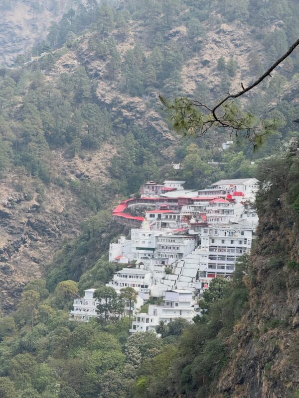 Milind Soman and Ankita