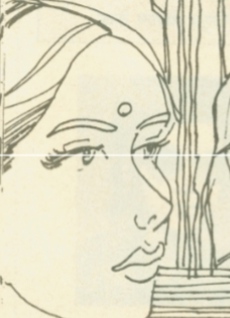 कहानी- अवैध सृजन