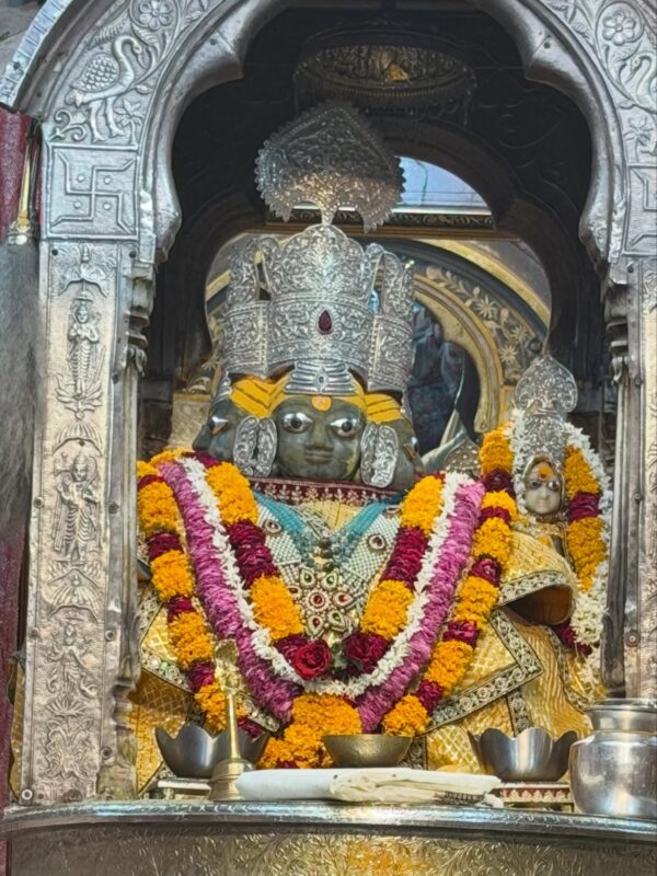 Bhumi Pedenkkar