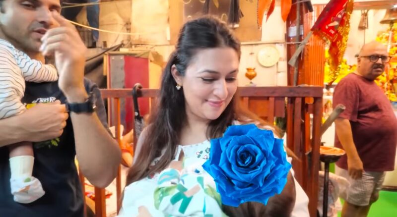 Divyanka Tripathi Twin Kids
