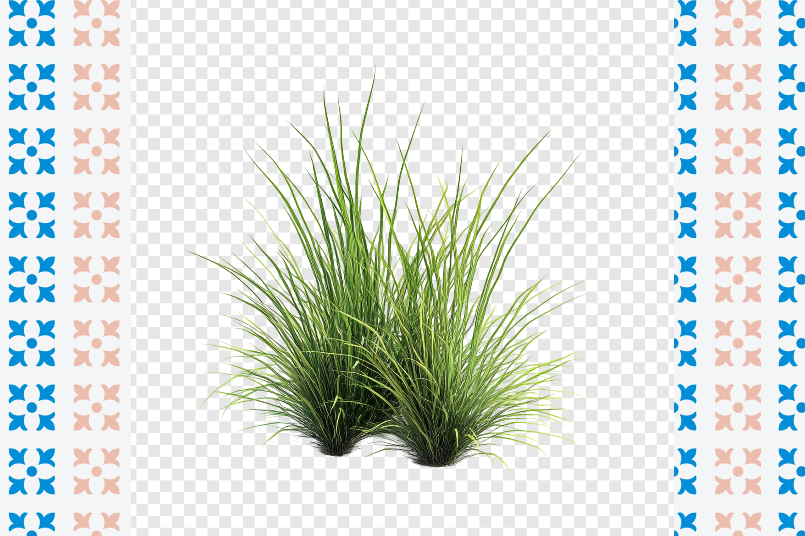 Post Thumbnail